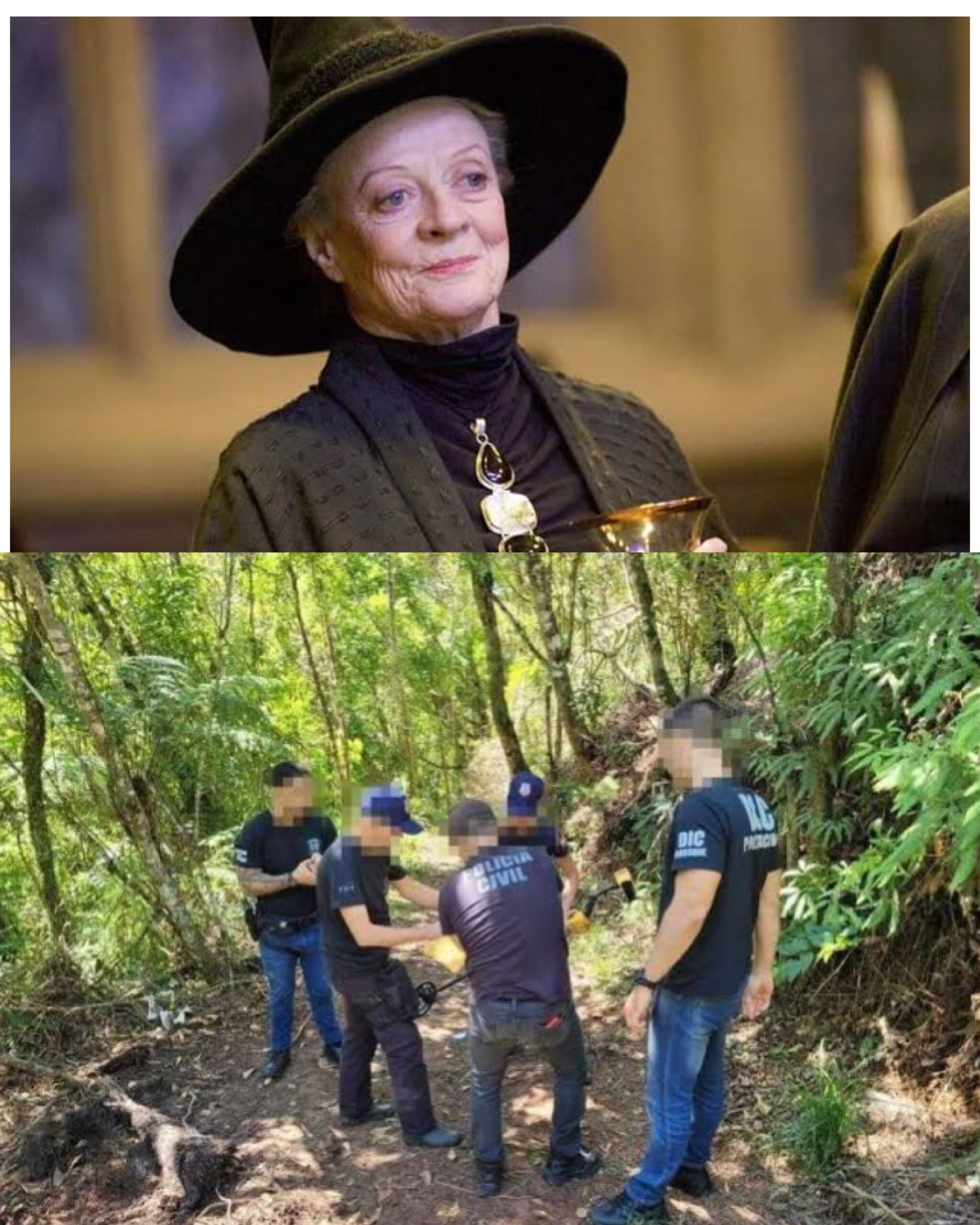 M0rre aos 89 anos a atriz britânica Maggie Smith, famosa por ‘Harry Potter’ ela foi encontrada… ver mais