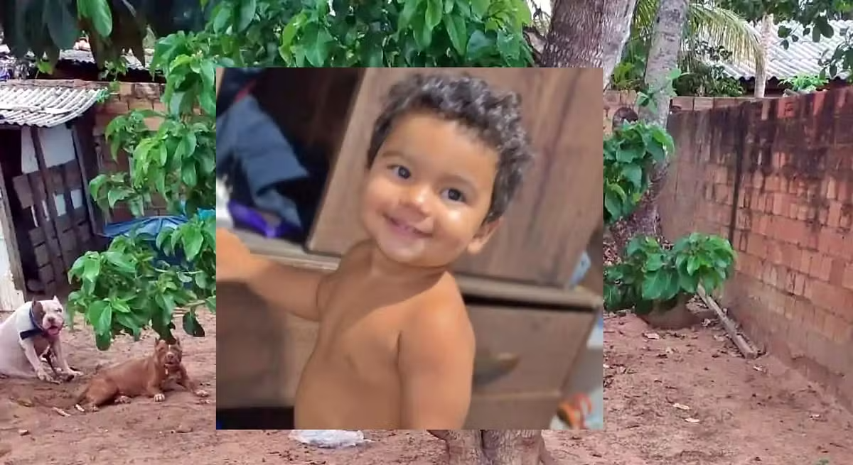 Bebê de 1 ano morre após ser atacado por pitbull no interior de Rondônia