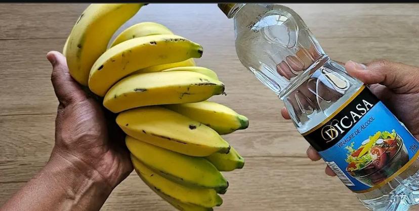 Métodos simples para manter bananas frescas por muito tempo